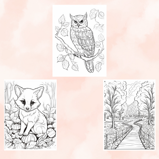 Autumn Coloring Pages for Adults & Kids – Fall-Themed Digital Downloads