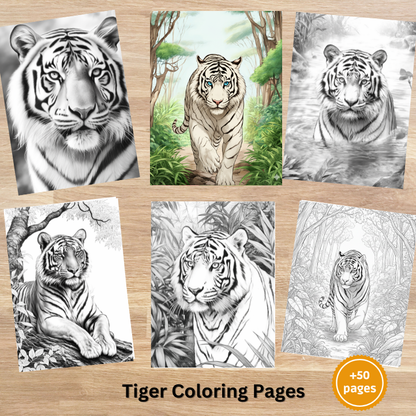 Tiger Coloring Pages for Adults – 50+ Detailed Designs to Relax and Unwind