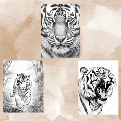 Tiger Coloring Pages for Adults – 50+ Detailed Designs to Relax and Unwind